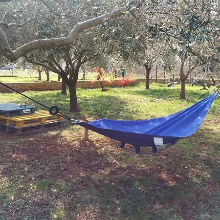 Camellie Appartement Galižana